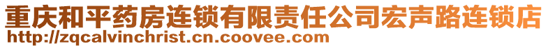 重庆和平药房连锁有限责任公司宏声路连锁店