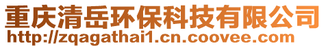 重慶清岳環(huán)保科技有限公司