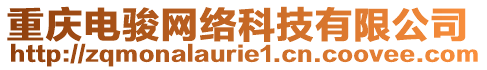 重慶電駿網(wǎng)絡(luò)科技有限公司