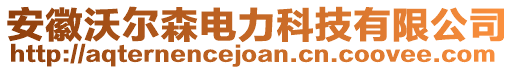 安徽沃爾森電力科技有限公司