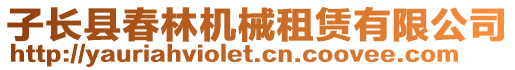 子長縣春林機(jī)械租賃有限公司