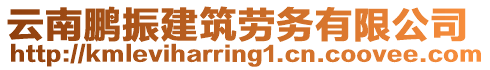 云南鵬振建筑勞務(wù)有限公司