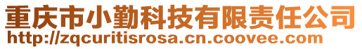 重庆市小勤科技有限责任公司