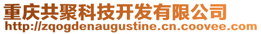 重慶共聚科技開發有限公司