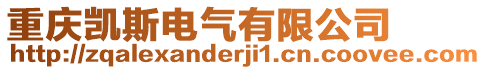 重慶凱斯電氣有限公司