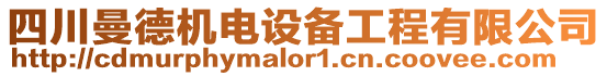 四川曼德機(jī)電設(shè)備工程有限公司