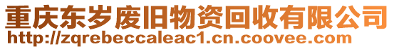重慶東歲廢舊物資回收有限公司