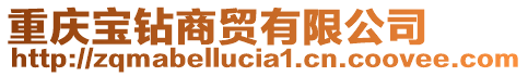 重慶寶鉆商貿(mào)有限公司