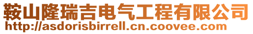 鞍山隆瑞吉電氣工程有限公司