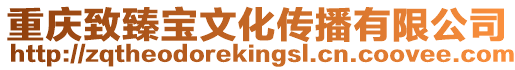 重慶致臻寶文化傳播有限公司