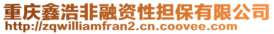 重慶鑫浩非融資性擔(dān)保有限公司