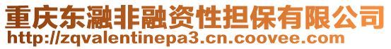 重慶東瀜非融資性擔(dān)保有限公司