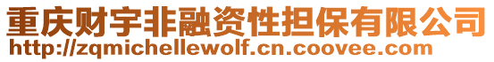 重慶財(cái)宇非融資性擔(dān)保有限公司