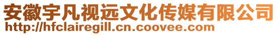 安徽宇凡視遠文化傳媒有限公司