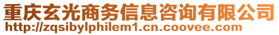 重慶玄光商務(wù)信息咨詢有限公司