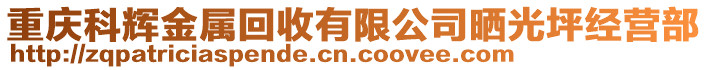 重慶科輝金屬回收有限公司曬光坪經(jīng)營部