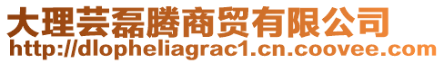 大理蕓磊騰商貿(mào)有限公司