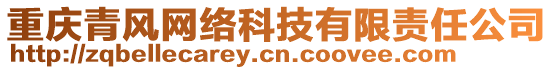 重慶青風(fēng)網(wǎng)絡(luò)科技有限責(zé)任公司