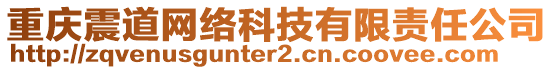 重慶震道網(wǎng)絡(luò)科技有限責(zé)任公司