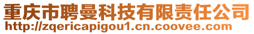 重慶市聘曼科技有限責任公司