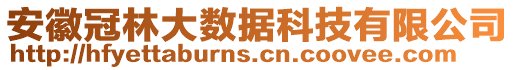 安徽冠林大數(shù)據(jù)科技有限公司