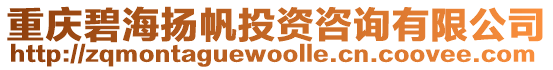 重慶碧海揚帆投資咨詢有限公司