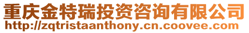 重慶金特瑞投資咨詢有限公司