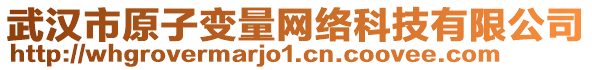 武漢市原子變量網絡科技有限公司
