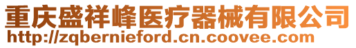 重慶盛祥峰醫(yī)療器械有限公司