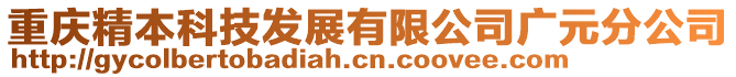 重慶精本科技發展有限公司廣元分公司