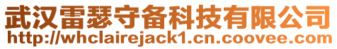 武漢雷瑟守備科技有限公司