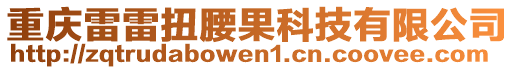 重慶雷雷扭腰果科技有限公司