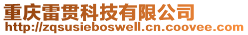 重慶雷貫科技有限公司