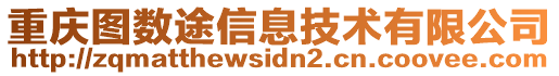 重慶圖數(shù)途信息技術有限公司