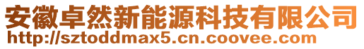 安徽卓然新能源科技有限公司