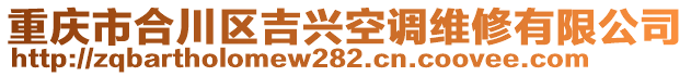 重慶市合川區(qū)吉興空調(diào)維修有限公司