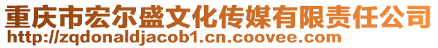 重慶市宏?duì)柺⑽幕瘋髅接邢挢?zé)任公司