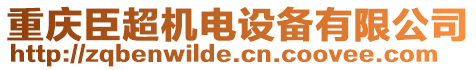 重慶臣超機電設備有限公司