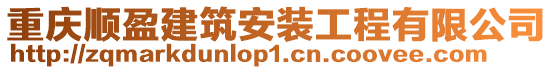 重慶順盈建筑安裝工程有限公司