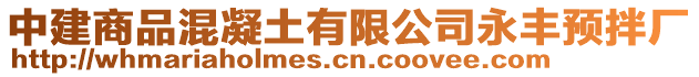 中建商品混凝土有限公司永豐預(yù)拌廠