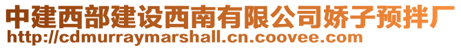 中建西部建設(shè)西南有限公司嬌子預(yù)拌廠