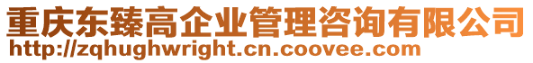 重慶東臻高企業(yè)管理咨詢有限公司