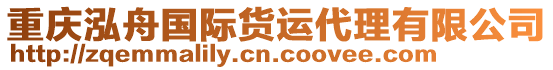 重慶泓舟國際貨運(yùn)代理有限公司