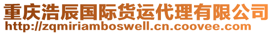 重慶浩辰國際貨運代理有限公司