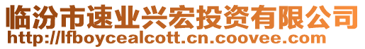 臨汾市速業(yè)興宏投資有限公司