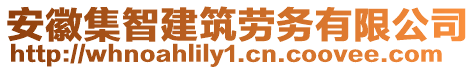 安徽集智建筑勞務(wù)有限公司