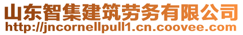 山東智集建筑勞務有限公司