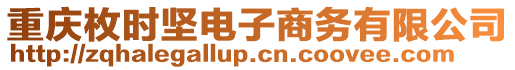 重慶枚時堅電子商務有限公司