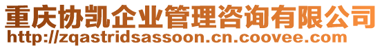 重庆协凯企业管理咨询有限公司