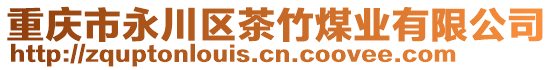 重慶市永川區(qū)茶竹煤業(yè)有限公司